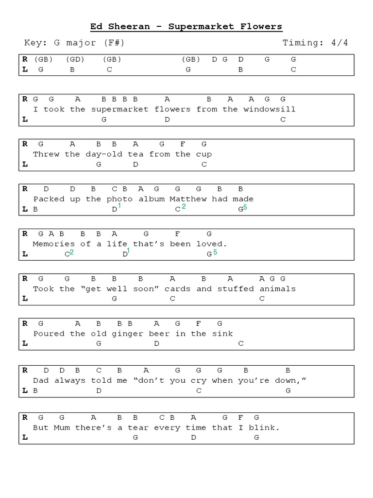 Ed Sheeran Supermarket Flowers Piano Sheet For Beginners PDF