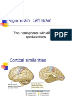 Right Brain Left Brain: Two Hemispheres With Different Specializations