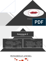 Tugas Pato Anemia Kelompok (2) ,..,.