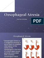 Lec 15a - Esophagial Atresia and Respiratory Emergencies in Children