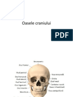 Oasele Craniului