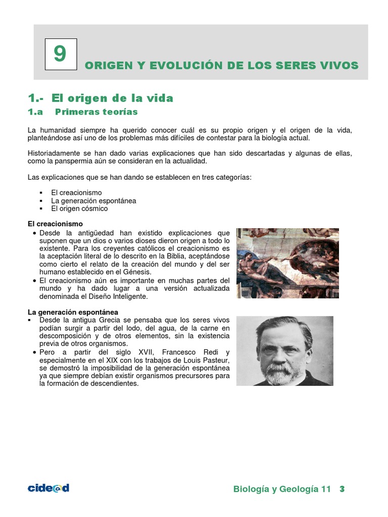 Teorías sobre el origen de la vida | PDF | Abiogénesis | Biología Celular)