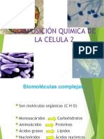 BIOMOLÉCULAS 2 - Biología Celular