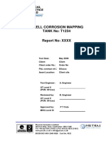 LSI Sample Report Tank Shell