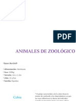 Animales de Zoológico
