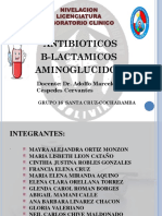 Grupo 16 Penicilinas Cefalosporinas y Otros Antibióticos B-Lactamicos Aminoglucósidos