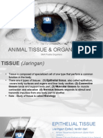 ANIMAL TISSUE & ORGAN SYSTEMS