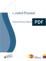 Guia Control Prenatalfileminimizer