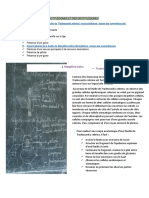 Les Feuilles Des Monocotylédones Et Des Dicotylédones