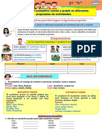 Ficha Sustantivo Comun y Propio