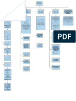 Mapa Conceptual Estructura Estado