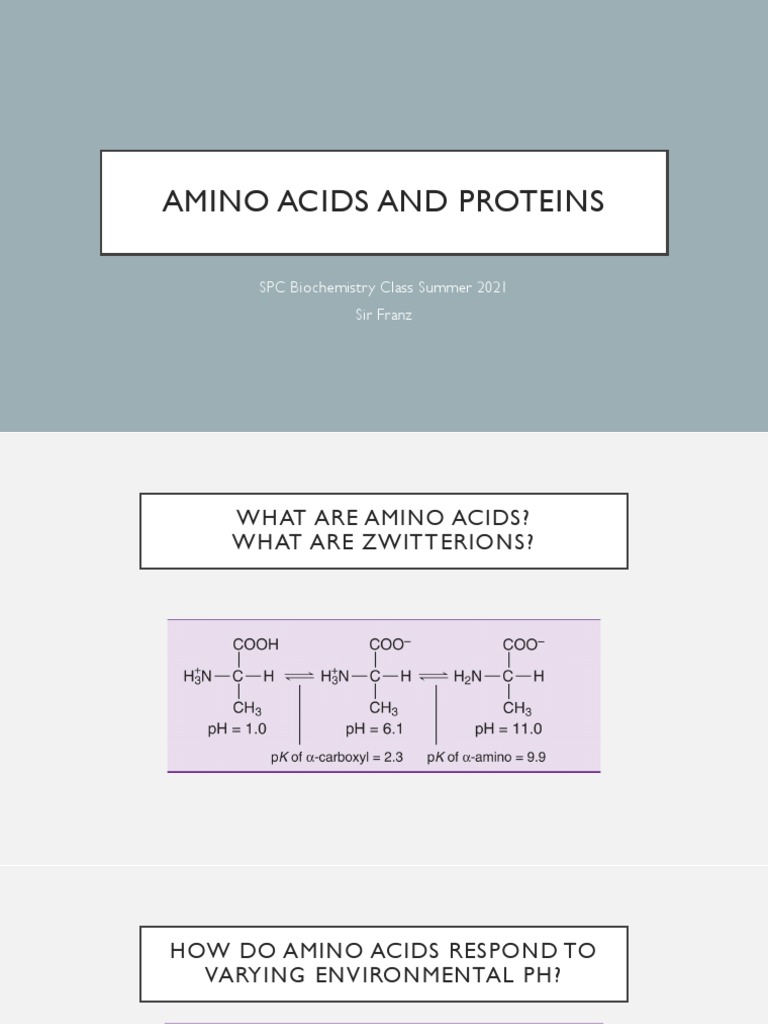 Introduction To Amino Acids and Proteins