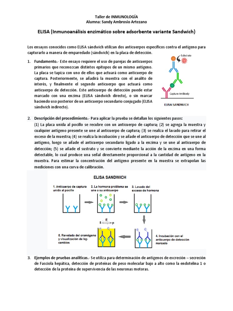 Fundamento y Procedimiento de ELISA Sándwich | PDF