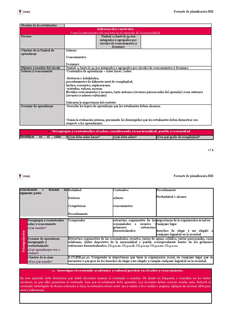 Formato Planificación EIB | PDF | Plan de estudios | Enseñando