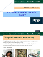 Government Economic Policy