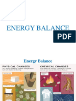 Energy Balance