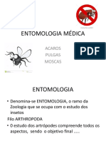 Entomologia médica: insetos e ácaros de importância médica