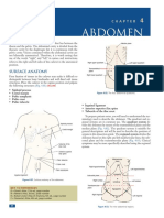 Thorax Abdomen: Surface Anatomy