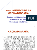 Periodo 2013-1 - Conceptos Básicos de Cromatografía PDF