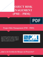 Project Risk Management (Pmi - PRM)