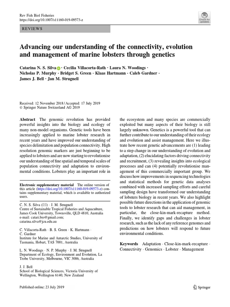 Advancing Our Understanding of The Connectivity, Evolution and