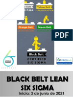Pensum Black Belt Lean Six Sigma Junio 2021