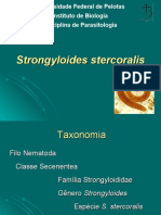Strongyloides stercoralis: Características e ciclo biológico