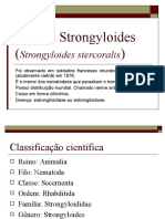 Gênero Strongyloides