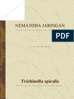 Ppt. Nematoda Jaringan