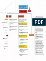 El Origen Del Conflicto (Mapa Conceptual)