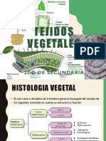 Tejidos Vegetales