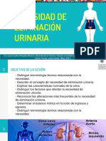 05 Necesidades de Eliminacion Urinaria