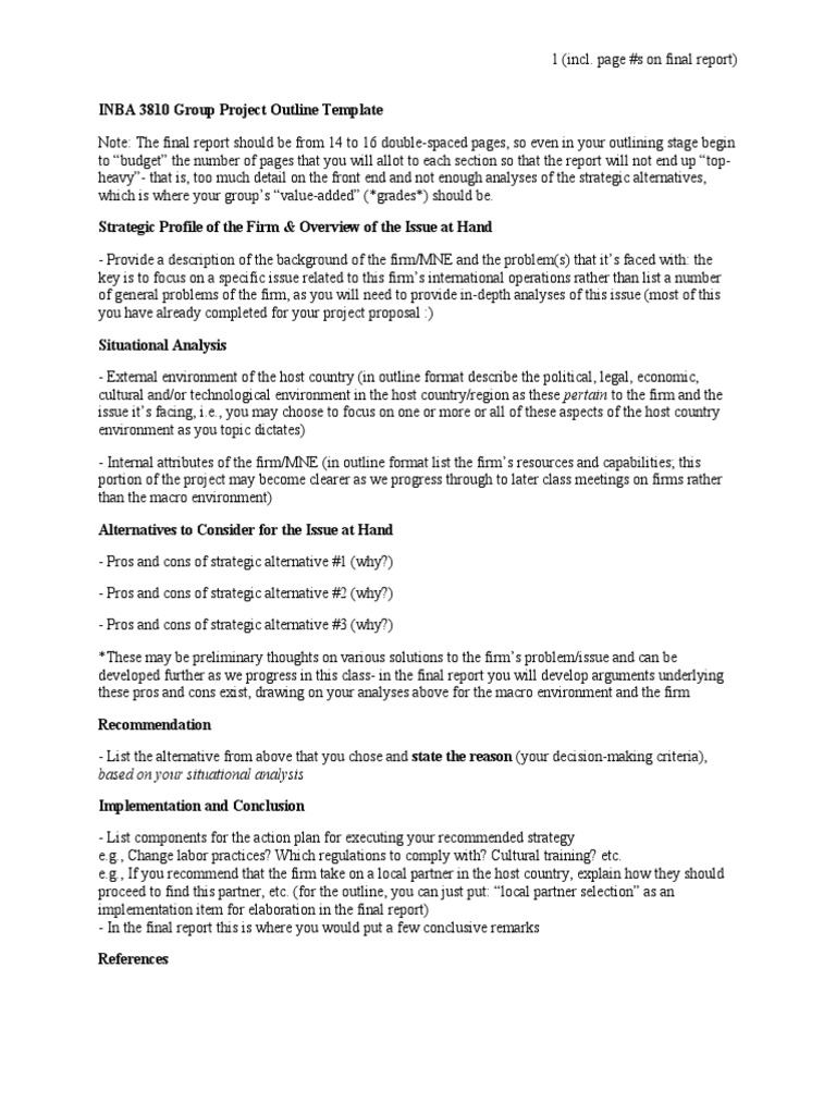 INBA 3810 Group Project Outline Template | PDF | Business | Economies
