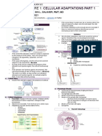 HP Lec - Cell Adaptations