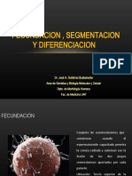 Fecundacion, Segmentacion y Determinacion Celular18 (1)