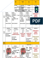 PLAN DE TRABAJO DEL 17 AL 21- MAYO- 2021