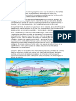 Ciclo del carbono: clima, vida y cambio