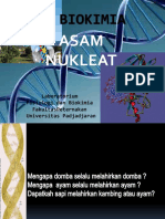 Asam Nukleat - Biokimia 2014