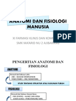Anatomi - Dan - Fisiologi