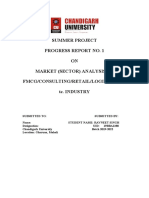 Summer Project Progress Report No. 1 ON Market (Sector) Analysis of Fmcg/Consulting/Retail/Logistics/Ite Tc. Industry