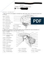 MT13 Clinical Anatomy and Physiology For Med Lab Science Laboratory Worksheet - SU - ICLS