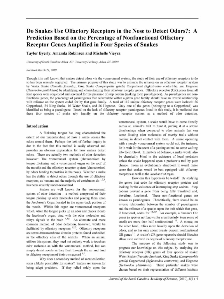 Do Snakes Use Olfactory Receptors in The Nose To Detect Odors A PDF