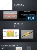 Elastin A