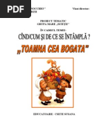 Download proiecttoamnagrmarebySerbuFlopySN51404425 doc pdf