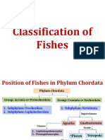 Classification of Fishes