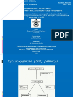 Cox-2 Inhibitor and Nonspecific Nsaid