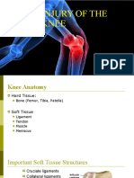 Lecture 13 Bone, Joint, Tendon, and Soft Tissue Injury in Lower Limb (Knee)