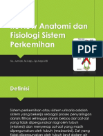 Review Anatomi dan Fisiologi Sistem Perkemihan