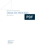 Hoja de Proceso PDF