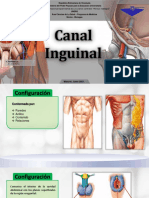 Canal Inguinal Secc 08